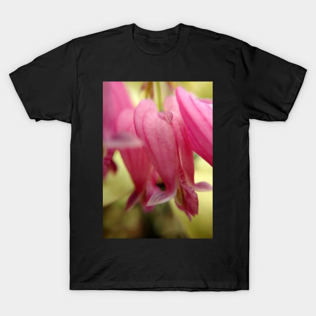 Bleeding Heart T-Shirt by KatieSchutteArt